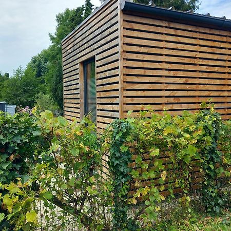 Lodge Au Vent Savigne-l'Eveque Экстерьер фото